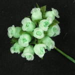 Rosebuds