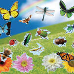 Design Your Own Realistic Bugs & Flowers Sticker Scenes