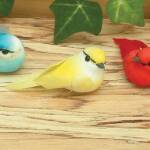 Feather Birds