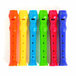 Mini Recorder