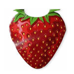 Strawberry Vest Costume