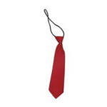 Maroon Necktie