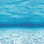 Fadeless Paper - Under The Sea