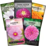 Flower Seeds