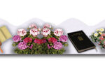 Shavuos Borders