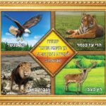 Decoupage - Yehuda Ben Teima