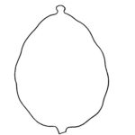 Large Blank Paper Cutouts - Esrog