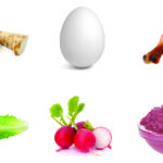 Paper Cutout - Seder Plate Symbols