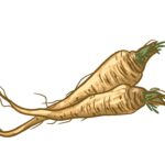 Paper Cutout - Marror