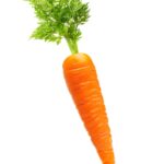 Paper Cutout - Carrot